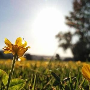 Meet your Posher, Shayne